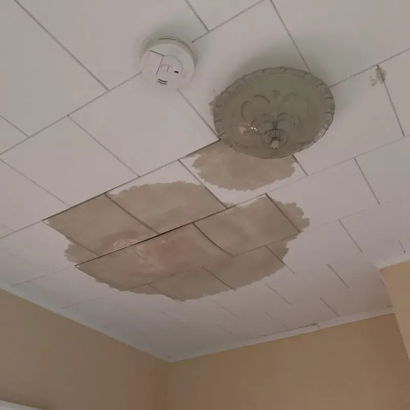 Ceiling Water Damage Repair in Westville, IL