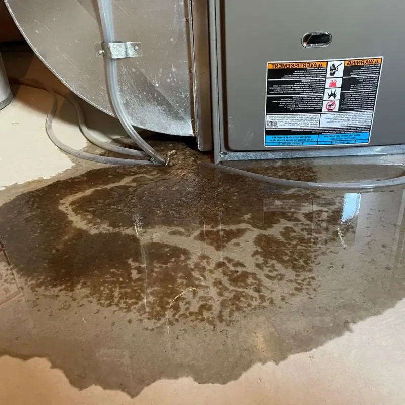Pipe Burst and Leak Restoration in Westville, IL