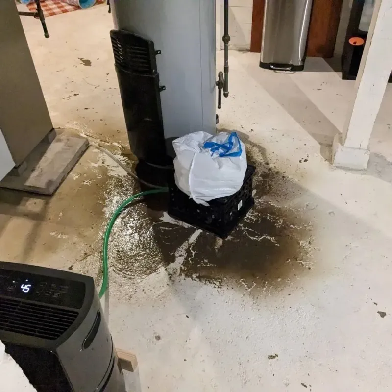Sewage Backup Cleanup Service in Westville, IL